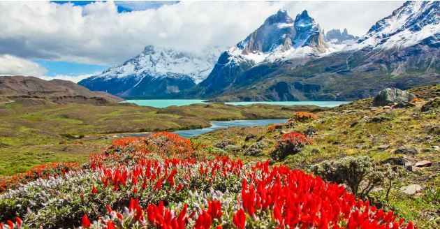 Best of Chilean Patagonia: From Torres del Paine to Cape Horn